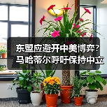 东盟应避开中美博弈?马哈蒂尔呼吁保持中立 东盟应避开中美博弈?马哈蒂尔呼吁保持中立