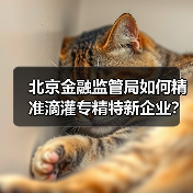 科技金融如何赋能专精特新企业高质量发展?-启闻网 科技金融如何赋能专精特新企业高质量发展?-启闻网