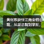 江南金租总裁任职获批,行业布局有何新动向?-启闻网 江南金租总裁任职获批,行业布局有何新动向?-启闻网