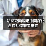 深化合作如何推动哈萨克斯坦与中国互惠共赢?-启闻网 深化合作如何推动哈萨克斯坦与中国互惠共赢?-启闻网