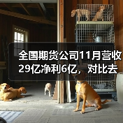 全国期货公司11月营收29亿净利6亿,对比去年同期如何? 全国期货公司11月营收29亿净利6亿,对比去年同期如何?