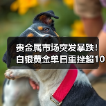 贵金属市场突发暴跌!白银黄金单日重挫超10% 贵金属市场突发暴跌!白银黄金单日重挫超10%