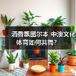 国窖1573携手澳网,如何构建中澳文化交融新范式-启闻网 国窖1573携手澳网,如何构建中澳文化交融新范式-启闻网