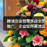 跨国公司如何高效管理跨境资金?政策解读-启闻网 跨国公司如何高效管理跨境资金?政策解读-启闻网