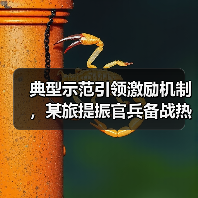 典型示范引领激励机制,某旅提振官兵备战热情 典型示范引领激励机制,某旅提振官兵备战热情
