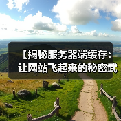 【揭秘服务器端缓存:让网站飞起来的秘密武器】 【揭秘服务器端缓存:让网站飞起来的秘密武器】