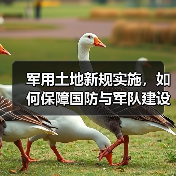 军用土地新规实施,如何保障国防与军队建设用地? 军用土地新规实施,如何保障国防与军队建设用地?