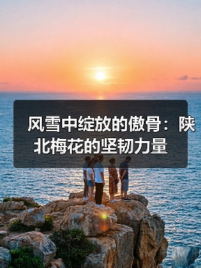 风雪中绽放的傲骨:陕北梅花的坚韧力量 风雪中绽放的傲骨:陕北梅花的坚韧力量