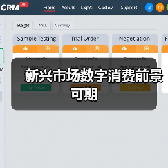 新兴市场数字消费前景可期 新兴市场数字消费前景可期