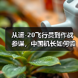 从运-20飞行员到作战参谋,中国机长如何锻造战略空军? 从运-20飞行员到作战参谋,中国机长如何锻造战略空军?