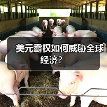 美国通胀小幅降温但未降息 美元霸权引发全球担忧-启闻网 美国通胀小幅降温但未降息 美元霸权引发全球担忧-启闻网