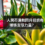 人民币汇率是否进入升值新周期?最新分析揭示关键因素-启闻网 人民币汇率是否进入升值新周期?最新分析揭示关键因素-启闻网