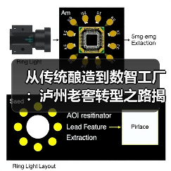 白酒行业供应链升级新标杆:泸州老窖数智化转型路径解析-启闻网 白酒行业供应链升级新标杆:泸州老窖数智化转型路径解析-启闻网
