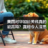 美国加征关税:电动汽车产业面临哪些挑战?-启闻网 美国加征关税:电动汽车产业面临哪些挑战?-启闻网