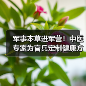 军事本草进军营 中医服务助官兵健康防护-启闻网 军事本草进军营 中医服务助官兵健康防护-启闻网