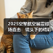如何选空气炸锅？智能控温与高效加热全解析-启闻网