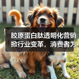 胶原蛋白肽行业如何破局?透明营销成关键-启闻网 胶原蛋白肽行业如何破局?透明营销成关键-启闻网