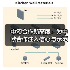 中匈合作再升级 共建”一带一路”引领新时代机遇-启闻网 中匈合作再升级 共建”一带一路”引领新时代机遇-启闻网