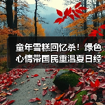 童年回忆杀！绿色心情趣味活动引爆夏日清凉夜-启闻网