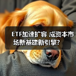 ETF市场爆发式增长背后，如何引领投资新时代？-启闻网