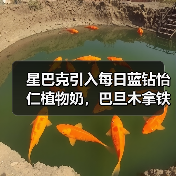植物奶饮品为何成为新宠?星巴克新品引爆市场-启闻网 植物奶饮品为何成为新宠?星巴克新品引爆市场-启闻网