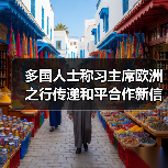 中欧合作新篇章:习近平访问如何影响全球?-启闻网 中欧合作新篇章:习近平访问如何影响全球?-启闻网