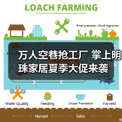 家具优惠大揭秘:如何抢购工厂底价?-启闻网 家具优惠大揭秘:如何抢购工厂底价?-启闻网