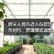 数字人民币迈入存款货币时代,三大变化将影响哪些领域?-启闻网 数字人民币迈入存款货币时代,三大变化将影响哪些领域?-启闻网