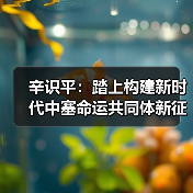 中塞命运共同体新篇章:合作成果与未来展望-启闻网 中塞命运共同体新篇章:合作成果与未来展望-启闻网