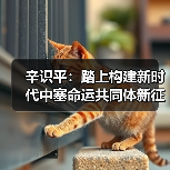 中塞命运共同体新篇章:合作成果与未来展望-启闻网 中塞命运共同体新篇章:合作成果与未来展望-启闻网