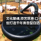 濉溪老窖启封,口子窖如何传承兼香工艺?-启闻网 濉溪老窖启封,口子窖如何传承兼香工艺?-启闻网