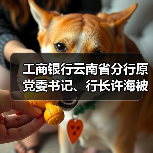 原工商银行行长许海被查 立案调查引关注-启闻网 原工商银行行长许海被查 立案调查引关注-启闻网