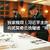 中塞钢铁外交：钢制礼品见证两国合作新高度-启闻网