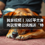 中塞钢铁外交：钢制礼品见证两国合作新高度-启闻网