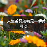 人生若只如初见,为何终成过往?-启闻网 人生若只如初见,为何终成过往?-启闻网