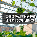 交通银行湖南分行被罚190万 贷款管理漏洞引关注-启闻网 交通银行湖南分行被罚190万 贷款管理漏洞引关注-启闻网