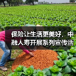 保险如何传递温暖与责任?中融人寿”7.8″活动展现行业担当-启闻网 保险如何传递温暖与责任?中融人寿”7.8″活动展现行业担当-启闻网