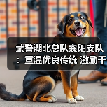 武警湖北总队襄阳支队:重温优良传统 激励干事创业 武警湖北总队襄阳支队:重温优良传统 激励干事创业
