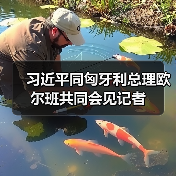 习近平同匈牙利总理欧尔班共同会见记者 习近平同匈牙利总理欧尔班共同会见记者