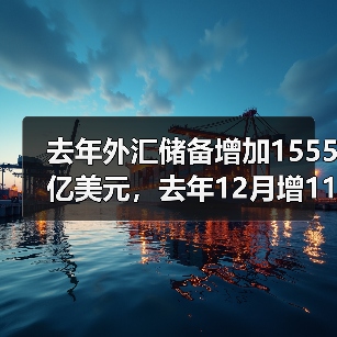 去年外汇储备增加1555亿美元,去年12月增115亿美元 去年外汇储备增加1555亿美元,去年12月增115亿美元