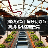 独家视频丨匈牙利以超高规格礼遇迎贵宾