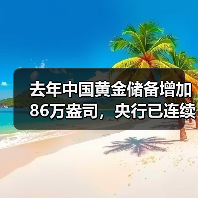 去年中国黄金储备增加86万盎司，央行已连续14个月增持