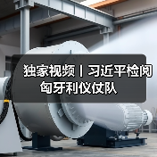 独家视频丨习近平检阅匈牙利仪仗队
