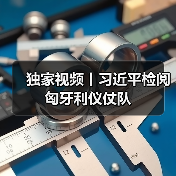 独家视频丨习近平检阅匈牙利仪仗队