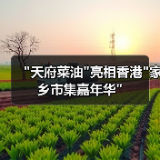 “天府菜油”亮相香港”家乡市集嘉年华” “天府菜油”亮相香港”家乡市集嘉年华”