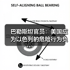 巴勒斯坦官员:美国应为以色列的危险行为负责 巴勒斯坦官员:美国应为以色列的危险行为负责