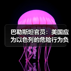 巴勒斯坦官员:美国应为以色列的危险行为负责 巴勒斯坦官员:美国应为以色列的危险行为负责