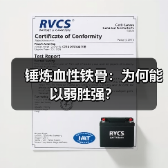锤炼血性铁骨:为何能以弱胜强? 锤炼血性铁骨:为何能以弱胜强?