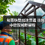 匈塞铁路如何改写中东欧交通格局?-启闻网 匈塞铁路如何改写中东欧交通格局?-启闻网