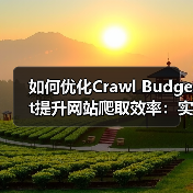 如何优化Crawl Budget提升网站爬取效率：实战指南